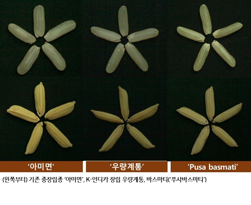99aa8ac5f5c30daf46b47421541bafef.jpg ์ฅ๋ฆฝ์ข
๋ฒผ ๊ฐ๋ฐ ๋ณธ๊ฒฉํโฆ๋์ด์งํฅ์ฒญ, 'K-์ธ๋์นด'๋ก ์ ์์ถ์์ฅ ๊ณต๋ต ๋์ ๋ค