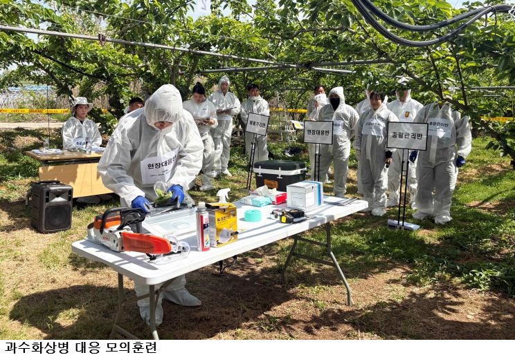 전남농업기술원, 과수화상병 차단 총력…나주 배 과수원 현장 모의훈련 실시