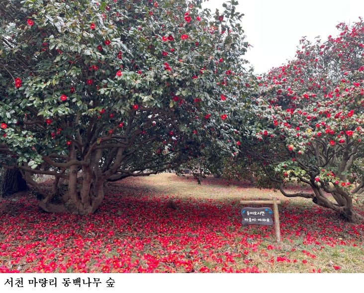 [한국농어민뉴스] 충남이 빚은 싱그러운 봄으로의 초대