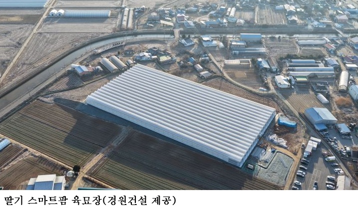 1만㎡ 규모 딸기 스마트팜 육묘장 조성