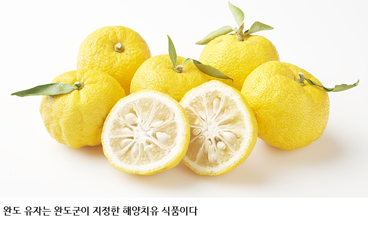 완도 고금면 200억 유자 가공공장, 연간 3천 톤 원료 확보가 성패 가른다