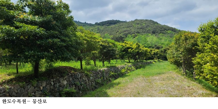 [한국농어민뉴스] 완도수목원, 설 연휴 무료 개방