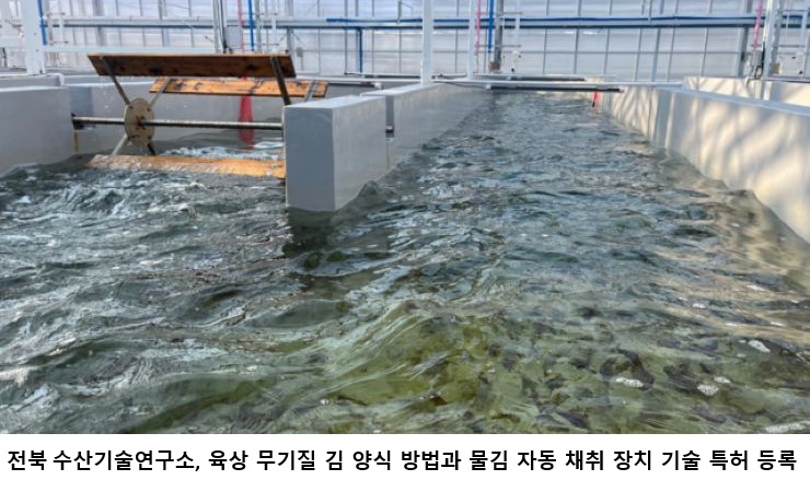 식품업계, ‘김 육상양식’ 상용화 경쟁 본격화