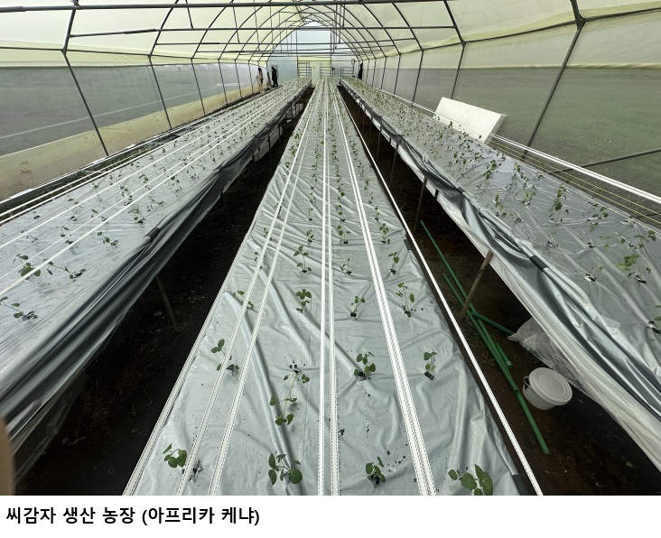 물 99% 아끼며 감자 키운다…농식품부 ‘A-벤처스’ 미드바르 선정