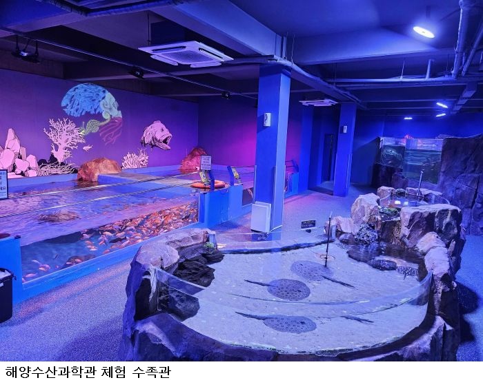 추석 연휴 전남광주 가볼 만한 곳…완도수목원 무료 개방·여수 해양수산과학관 정상 운영