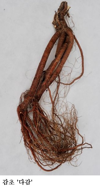 [한국농어민뉴스] 약용작물 종자 신청 시작, 기관별 공급 시기·가격 확인하세요