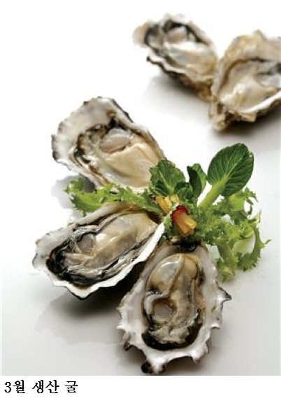 b31d74fbf5f4bf6a1f2d55af793b5359.jpg ๋ด ๊ตด, ์ ์ฒ ์ธ ๊ฒจ์ธ๋ณด๋ค ๋ ๋ฌ๊ณ ๊ฐ์น ๋ง ๋์