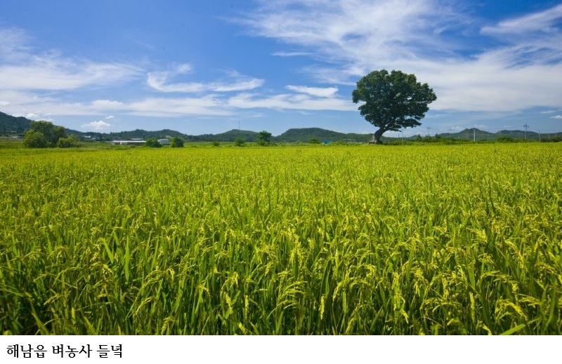 해남군, 전국 최대 친환경 농업 중심지로 도약…207억 투입해 지속가능 농업 본격화
