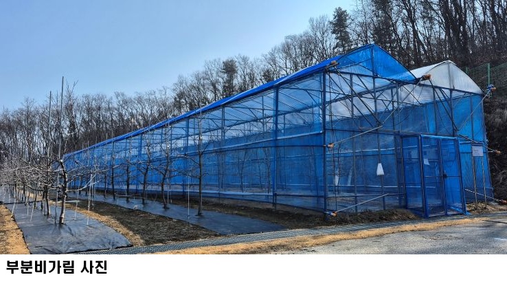 b5a2535a06ec9456b6e313a9ec8d0823.jpg ๊ฒฝ๊ธฐ๋๋์
๊ธฐ์ ์, ์ฌ๊ณผ ๋ณํด์ถฉ 92.7% ๊ฐ์ โ๋ถ๋ถ๋น๊ฐ๋ฆผ+๋ฐฉ์ถฉ๋ง ์ฌ๋ฐฐ๊ธฐ์ โ ํจ๊ณผ ์
์ฆ