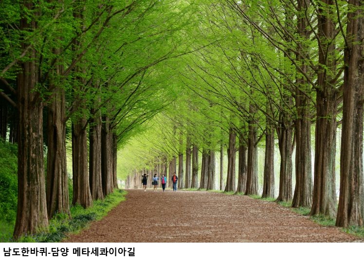 전남도, 여름 관광상품 ‘남도한바퀴’ 14개 코스 운영…해변·섬·숲·미식 여행 한 번에
