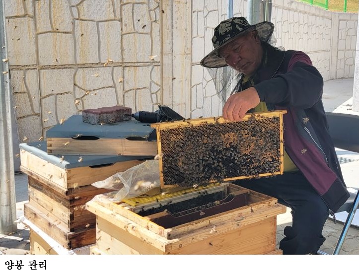 b9c44eaaea6d7c0a4a94a64cb761e711.jpg ์๋ ํ ๊ฟ๋ฒ ๊ด๋ฆฌ๊ฐ ํ ํด ์๋ด๋์ฌ ์ข์ฐ