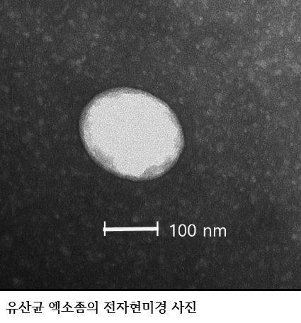 동백나무 꽃 유산균으로 탈모 완화 샴푸 개발…국립생물자원관 기술이전으로 이달 출시