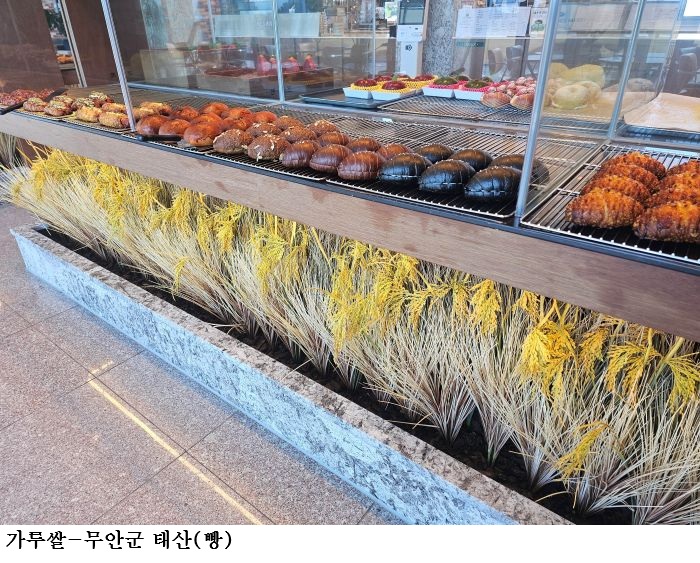 전남도, 가루쌀 전문생산단지 51개소 전국 최다 선정