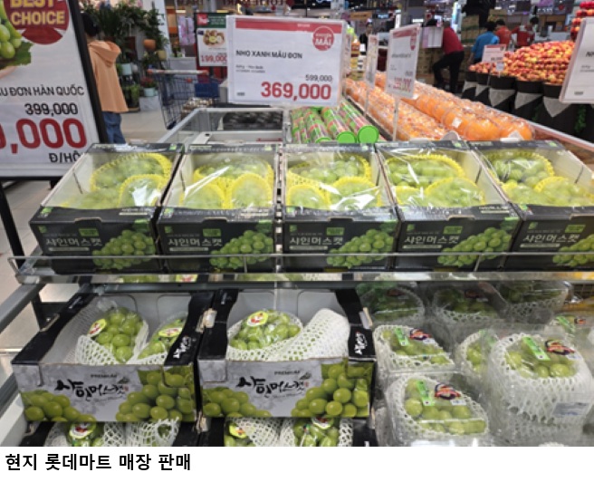 CA 기술 신선농산물 수출 혁신…베트남 선박운송 성공·물류비 36.8% 절감