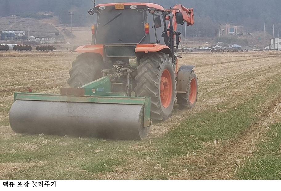 [힌국농어민뉴스] 동계 사료작물 생산은 봄철 관리가 중요