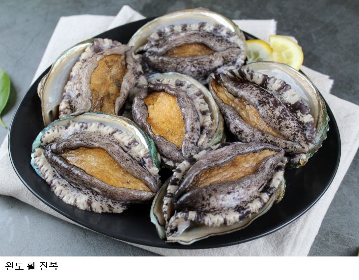 대우건설, 완도 전복 2.3톤 통 큰 구매…김신 군수 ‘기업 판로’ 뚫었다