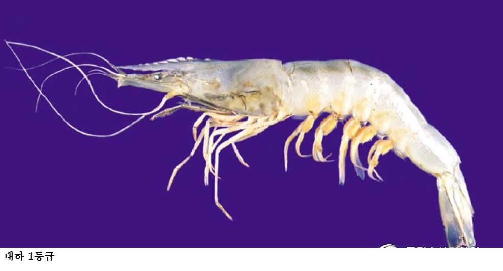 [한국농어민뉴스] 해양수산생명자원, ‘활용 가치’ 기반 등급 부여 전면 시행