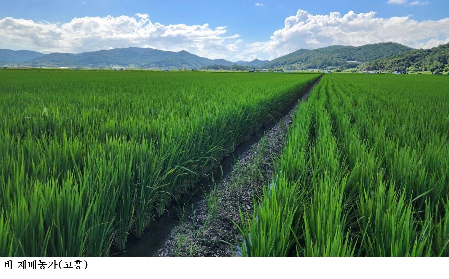 [한국농어민뉴스] 수급조절용 벼 재배 추가지원…쌀값 안정 총력