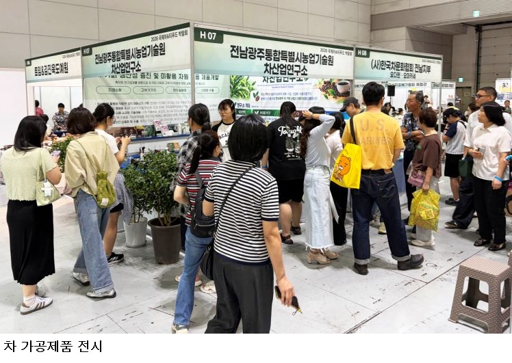 전남광주농기원, 차꽃·종자도 산업자원으로...차 활용 범위 넓힌다