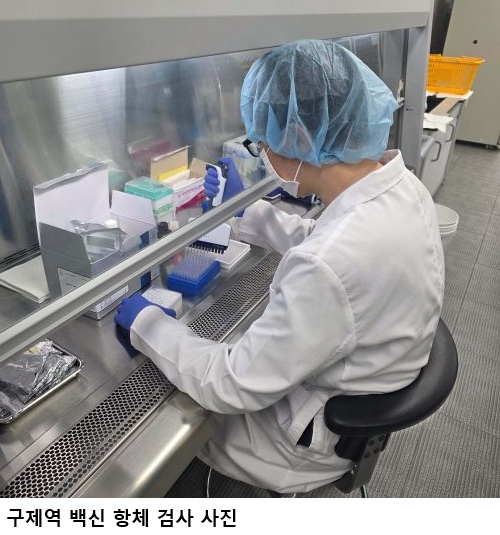 전남광주특별시, 하반기 구제역 백신 항체검사 실시
