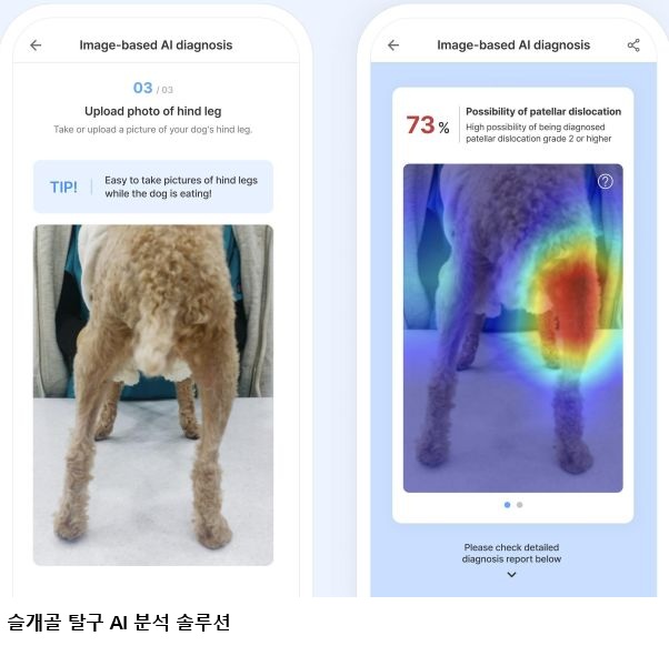 반려동물 사진 한 장으로 질환 분석…AI ‘라이펫’ 개발 십일리터, 농식품부 A-벤처스 선정