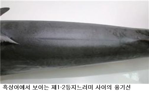 d9a8dbbe3aaf0fed56569f0bd32821d5.jpg λΆμ° λΆν βλΆμΊμ΄β μ 체λ νμμ΄β¦μκ³Όμ, 3mκΈ μμ»·μΌλ‘ μ΅μ’
νμΈ