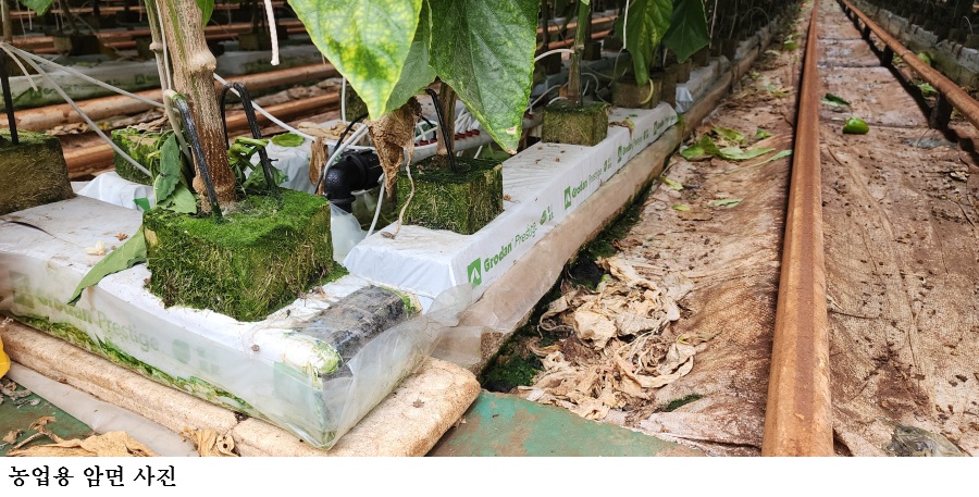 dabcfa469988a9625262cf9178418ece.jpg μ€λ§νΈν νμλ©΄ μ¬νμ© κΈΈ μ΄λ Έλ€β¦λμ
λΆμ°λ¬Ό βμμνβ μΆμ§