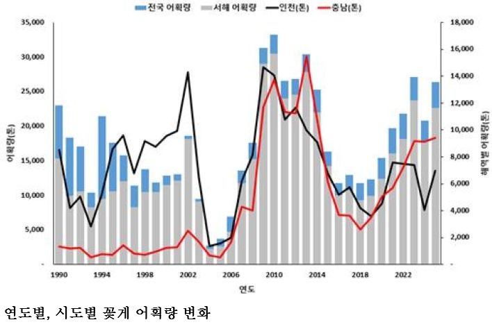 “올봄 서해 꽃게 풍어 기대”…어획량 최대 50% 증가 전망