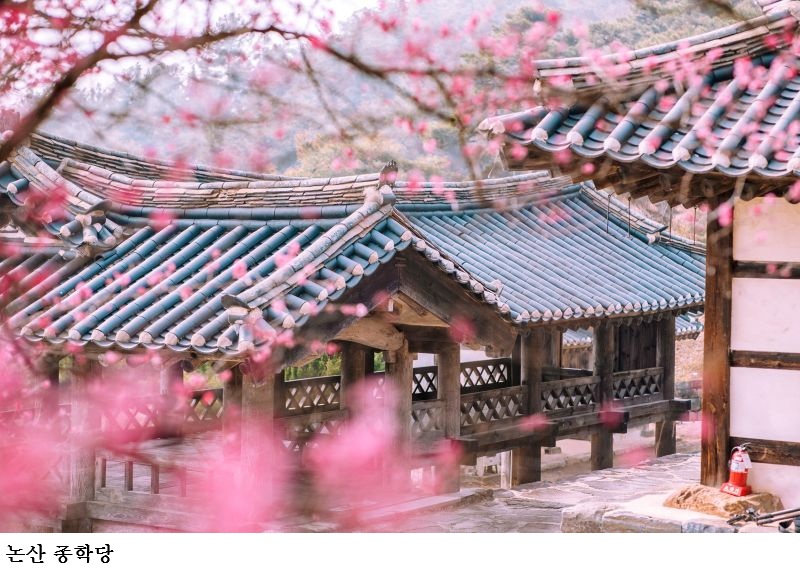 [한국농어민뉴스] 충남이 빚은 싱그러운 봄으로의 초대