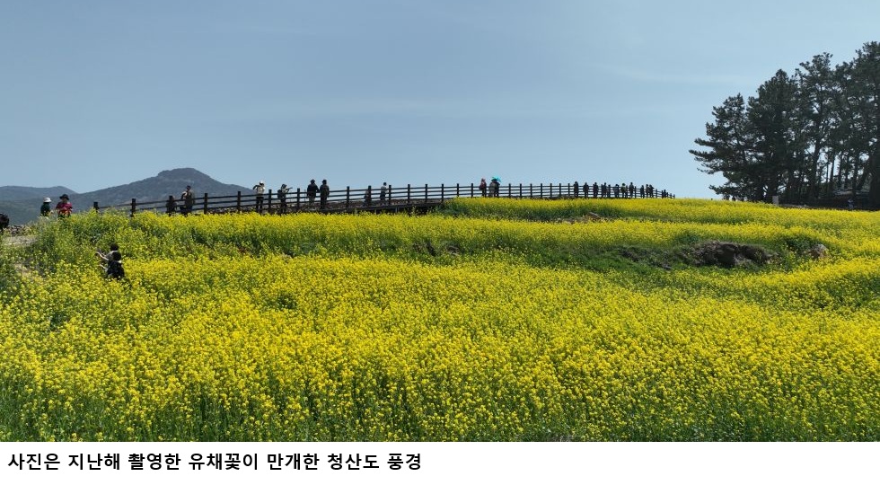 e1c619dcce1c07798575c337a14b397d.jpg μ²μ°λ μ¬λ‘κ±·κΈ° μΆμ μμβ¦μλκ΅° 4μ μΆμ² κ΄κ΄μ§ βμ μ±κ½ μ¬ μ²μ°λβ