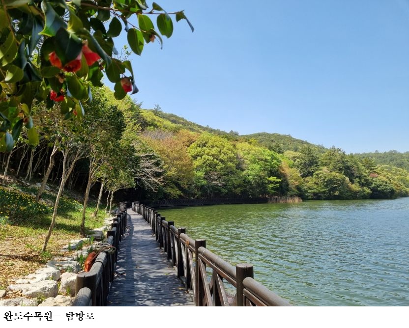 [한국농어민뉴스] 완도수목원, 설 연휴 무료 개방