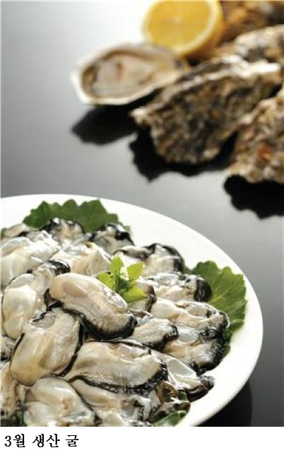 e90929c33c662880bd1a5d5bff4ce2d3.jpg ๋ด ๊ตด, ์ ์ฒ ์ธ ๊ฒจ์ธ๋ณด๋ค ๋ ๋ฌ๊ณ ๊ฐ์น ๋ง ๋์