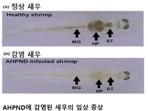 ecae4646d24be95aaf086146b34e8d3c.jpg ์์ฐ์๋ฌผ ์ ์ผ๋ณ ๋์ ๊ฐํโฆํด์๋ถ, ์ ๊ตญ ํฉ๋ ๋์ํ๋ จ ์ค์