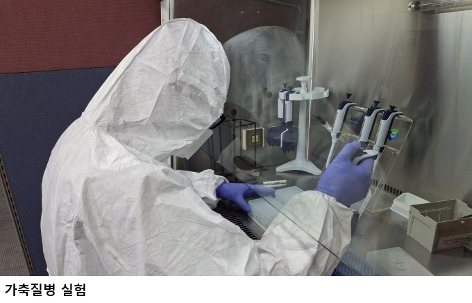 전남동물위생시험소, 여름철 가축질병 예방관리 강화 당부…폭염·모기매개 전염병 주의