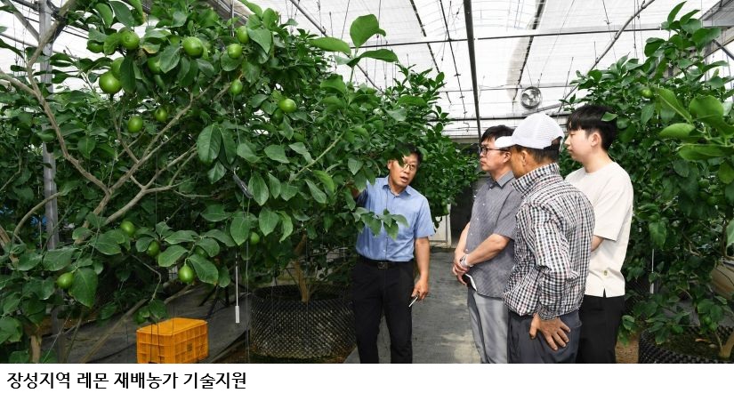 전남광주농기원, 장성 레몬·‘미래향’ 새 소득작목 육성 본격화