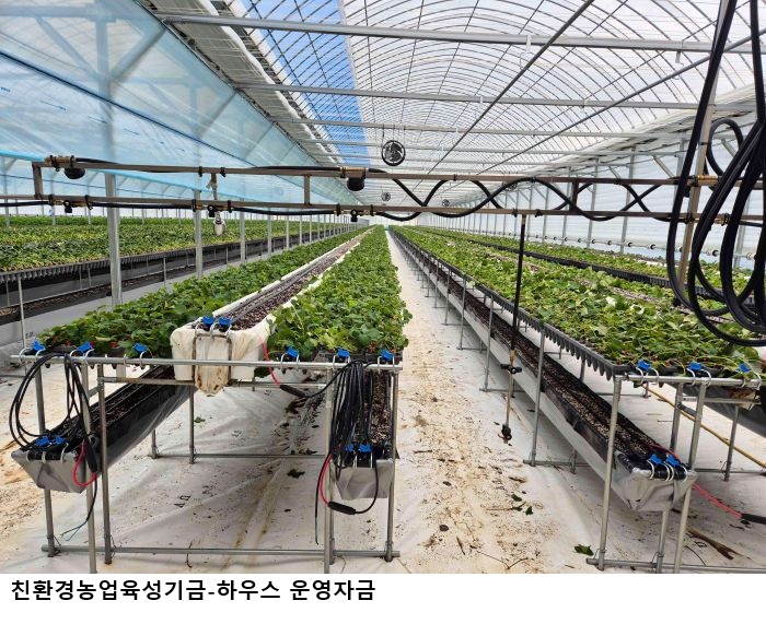 전남 친환경농업 육성기금 70억 지원…연리 1% 저리 융자, 농가 경영 안정 기대