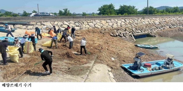 전남도 해양쓰레기 저감 441억 투입…수거 목표 5만9천톤