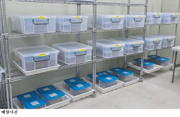 [한국농어민뉴스] 해충 잡는 천적 잘 키워서 농가에 보급한다