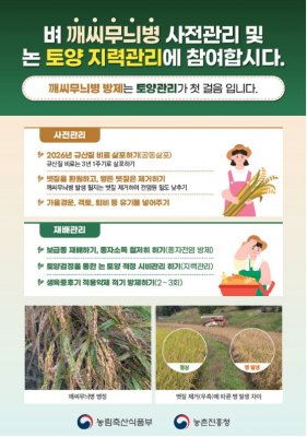 ‘땅심’ 낮은 논, 토양개량제 투입해 필수 성분 채워야