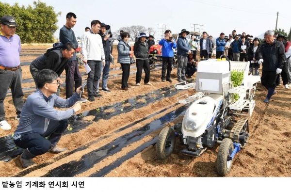 전남 배추 기계화 확대…전남농기원 “생산비 42% 절감·노동력 56% 감소 기대”
