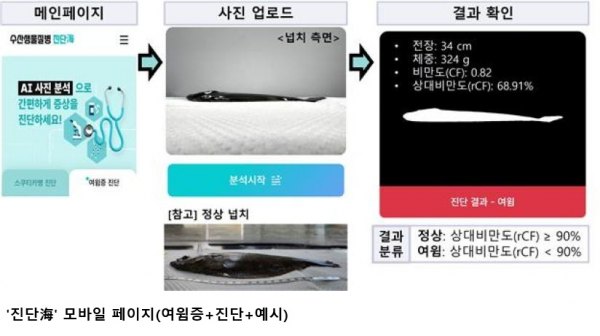 AI로 넙치 질병 진단…수과원 ‘진단해(海)’ 시스템 고도화