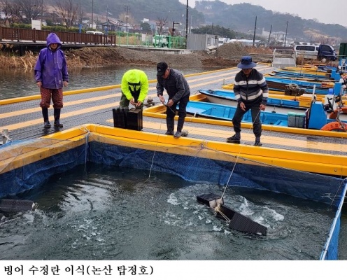 충남 내수면에 빙어 수정란 1,200만 립 이식…수산자원 회복 추진