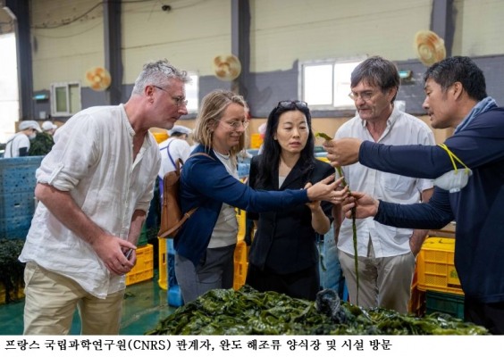 완도군, 프랑스 국립과학연구원(CNRS) 방문… 해양바이오·해조류 산업 글로벌 협력 본격화