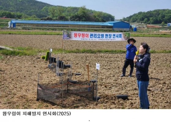 해남군, 모내기철 왕우렁이 피해 예방 총력…벼 이앙 전 사전 방제 강화
