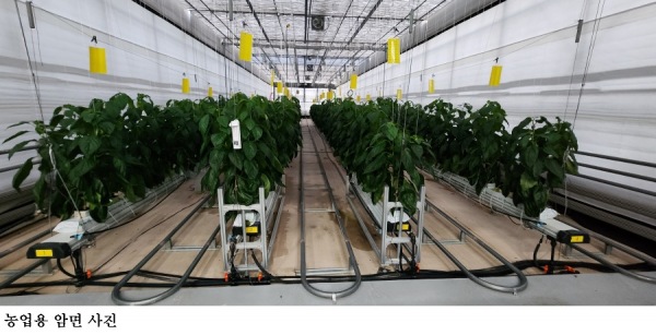 스마트팜 폐암면 재활용 길 열렸다…농업부산물 ‘자원화’ 추진