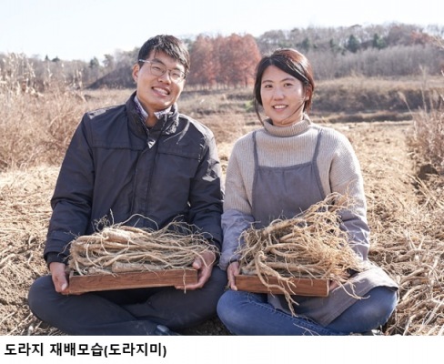경북 청년농업인 평균 농가소득 2억 원 돌파…드론방제·영농대행 29억 원 부가소득