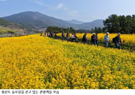 완도군 반값여행 효과 '톡톡'… 상반기 관광객 4만여 명 유치, 지역 소비 40억 원 창출