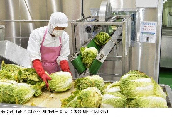 전남광주 농수산식품 수출 약 1조300억 원…역대 최고