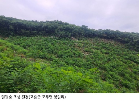 전남광주통합특별시, 2030년까지 밀원숲 3천825㏊ 추가 조성
