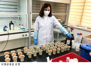 [한국농어민뉴스] 벼 깨씨무늬병 토양검정으로 재발 막는다